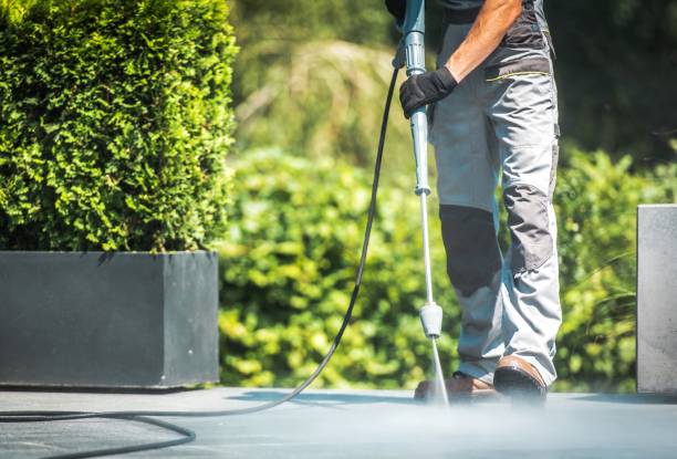 Best Sidewalk and Walkway Cleaning  in Wink, TX